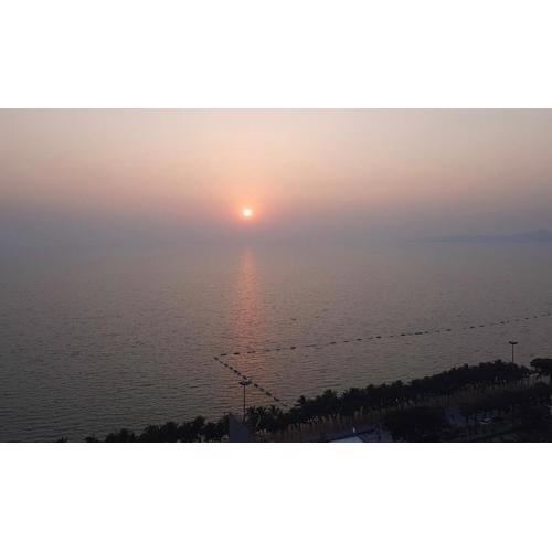 Condotel, Studio Apartment