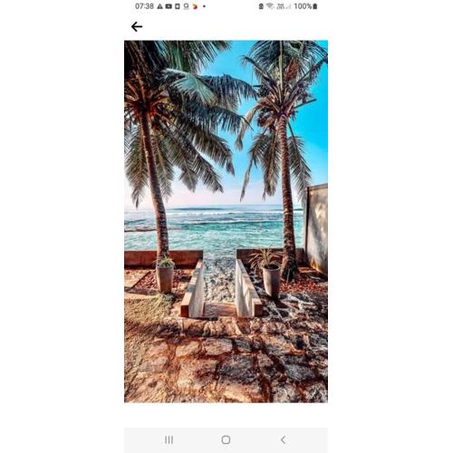 CoNomad Talpe - CoLive and CoWork