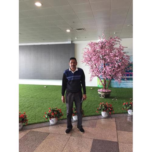 Cool Breeze Villa 2 in the heart of Grand Baie