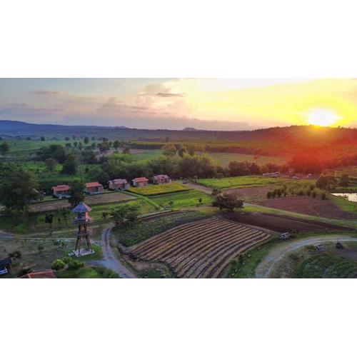 COOLLiving Farmhouse Organic