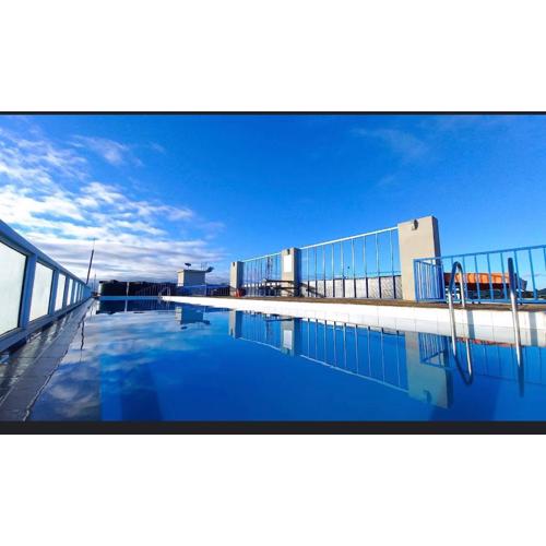 Coral bells by Tsavo