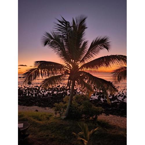 Coral Cottage Homestay