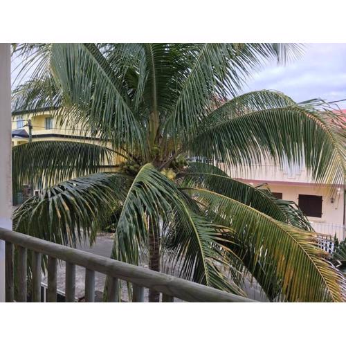 Cosy duplex in Trou aux Biches