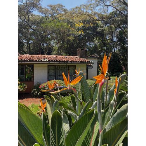 Cottage in paradisiacal garden