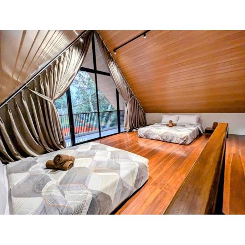 Cottonwood Salvia - Jacuzzi Pool BBQ Pingpong