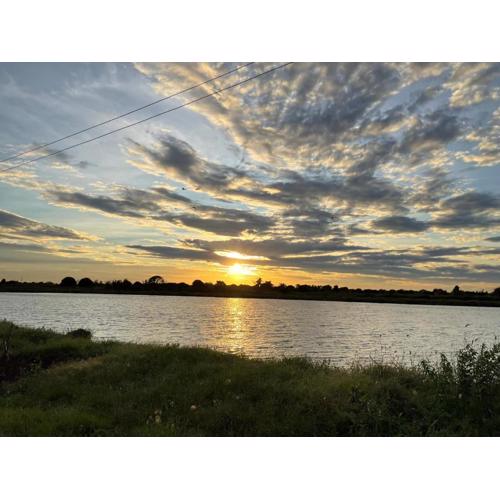 Countryside Rainbow Sweet Home Freshy Pets