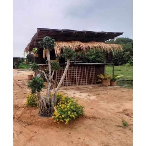 ทุ่งนากางเต้นท์ Countryside