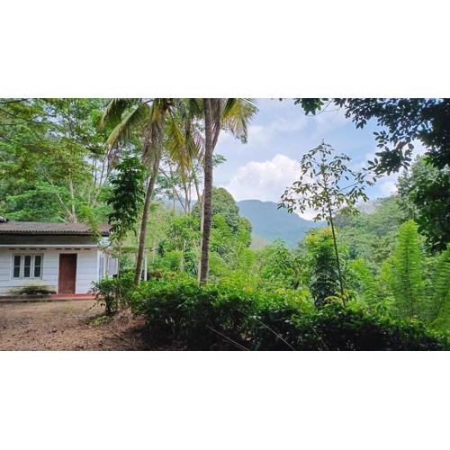 County House, Kithulgala