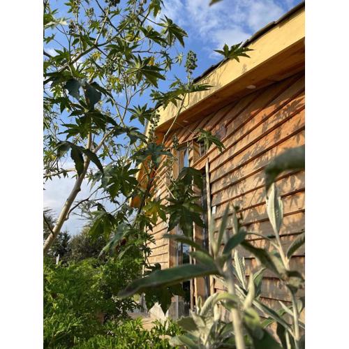 Couple's Wood Cabin in Naivasha - Elwai Visitor Centre