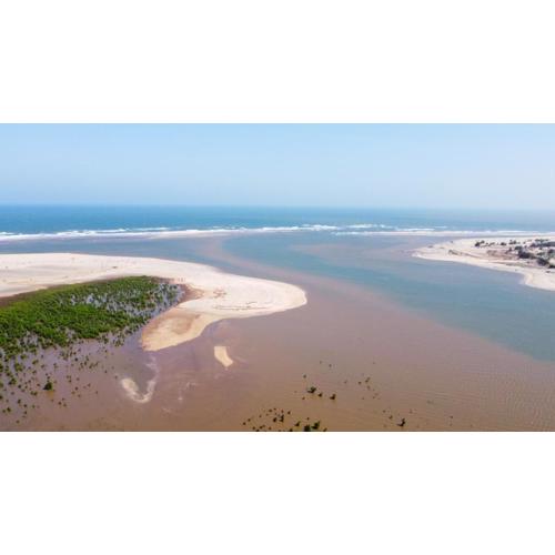 Cozy 1 bedroom Coastal Condo Beachside Bliss Near Golf & Adventure