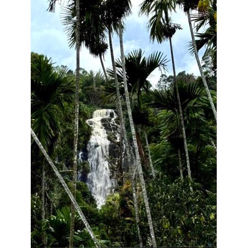 Cozy Homestay Waterfall Road Ella