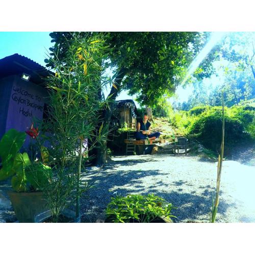 Cozy House Hostel