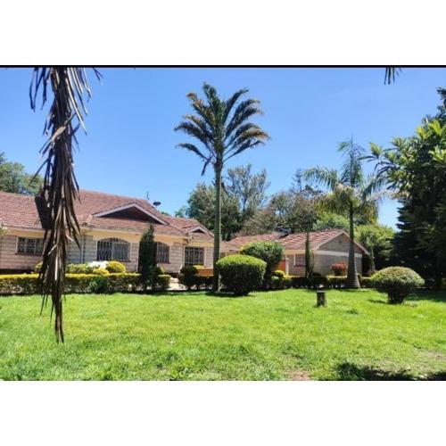 Cozy Studio at Elgon Hill Homes