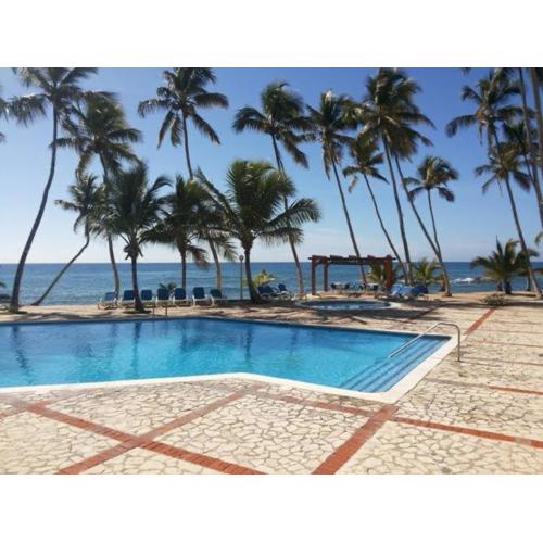 Cozy Studio by the sea