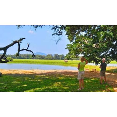 Crocodile park Bungalow