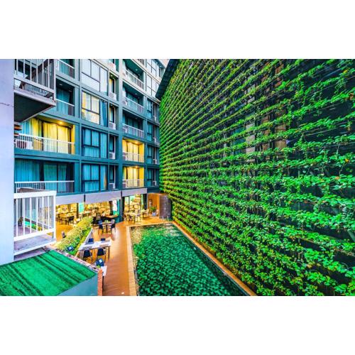 Cross Vibe Chiang Mai Decem, Nimman