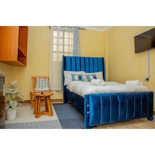 Cyan Studio with free WI-FI