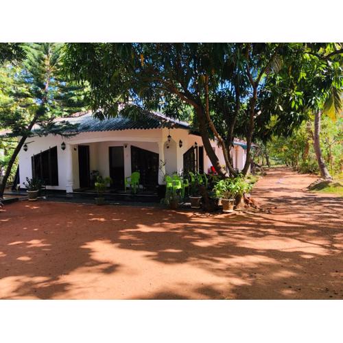 Dambulla City Hostel