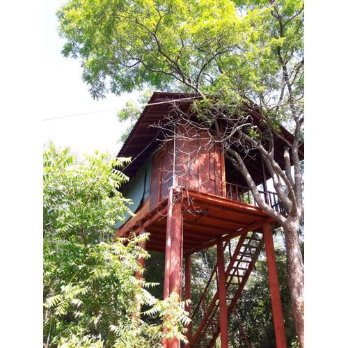 Dambulla Tree House