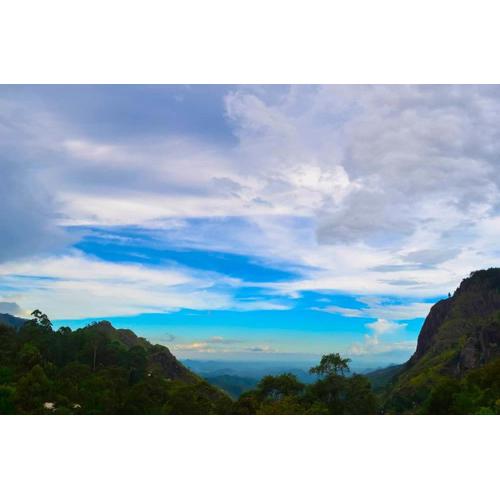 Damsen Homestay Ella