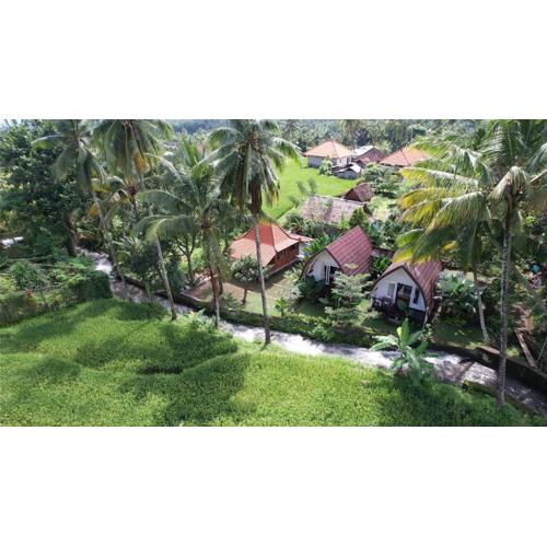 Damuh Pertivi, River and Rice Fields View