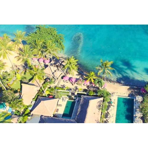 Dandelion 1 BR Classic Queen Room Single AN19