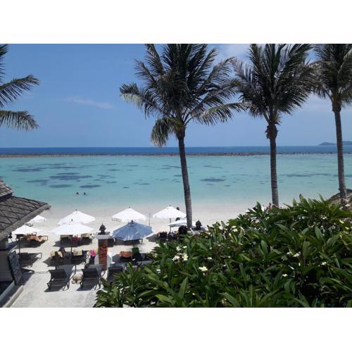 Dara Samui Beach Resort Adults Only, Chaweng