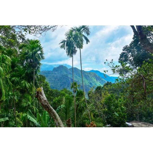Dawn View Home Stay