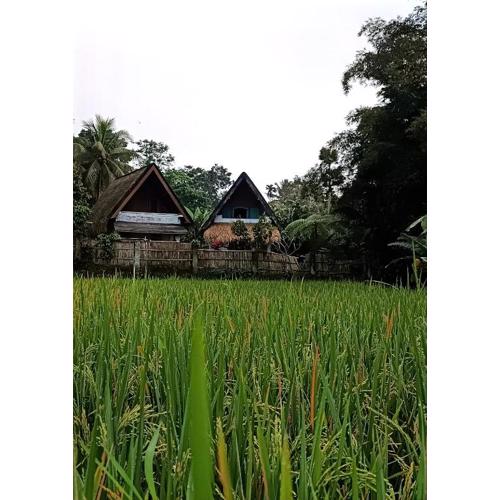 D'Bulan bungalows and kafe