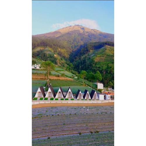 Dcahhya Family Cabin Villa The Sunrise View