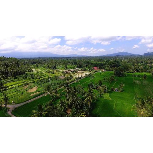 De Klumpu Bali Eco Tradi Stay