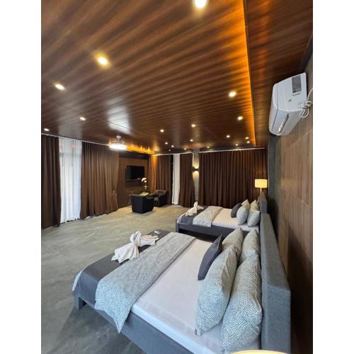 De Monarch, penthouse