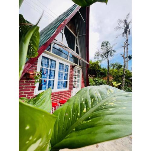 Dehigasella Cabana