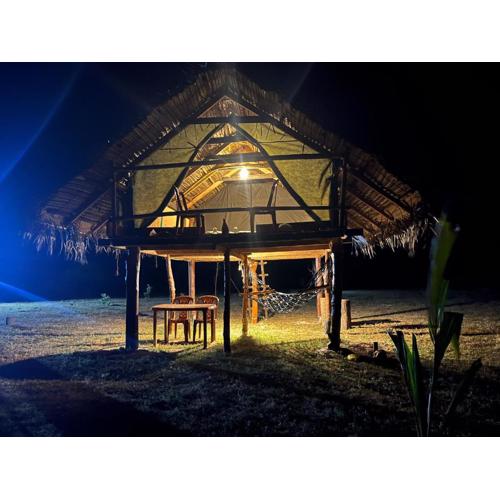 Delft Jungle Beachfront Villa