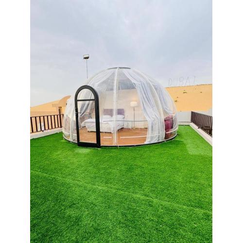 Desert Night Camping