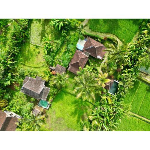Dewa Jati Cottages