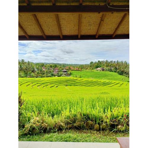 Dewi Nara Guest House By Balitrees