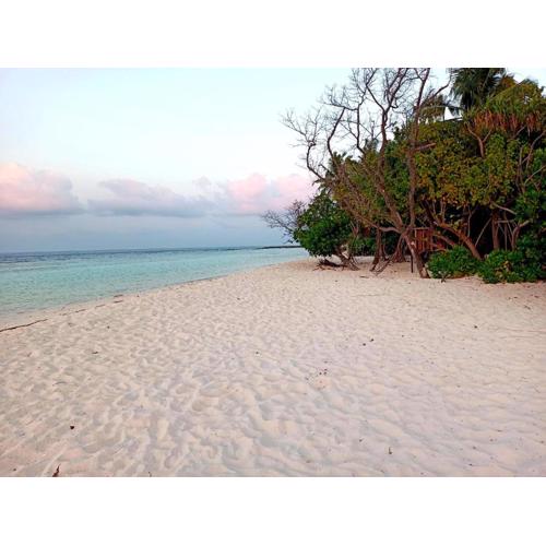Dhoadhi Beach Maldives