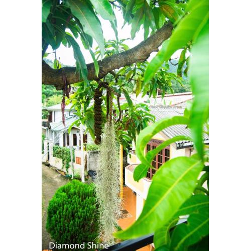 Diamond shine hostal and bunk beds