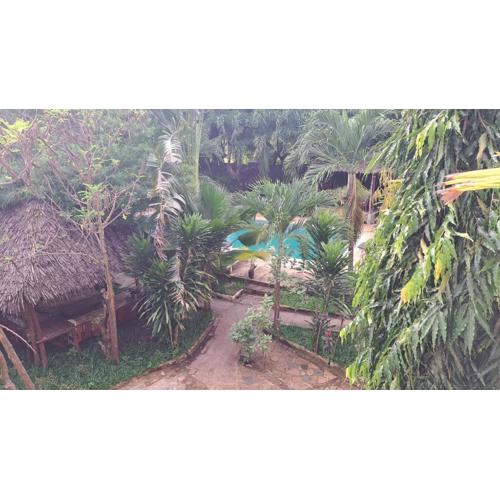 Diani Executive Studio, Blue Swallow