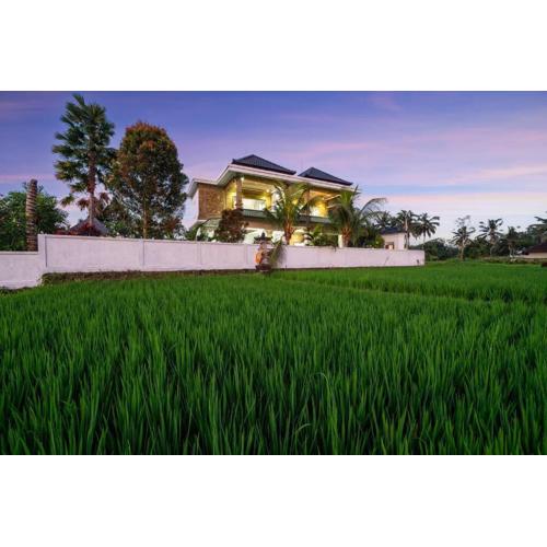 Didori Art Villa - serene view of green and sunset