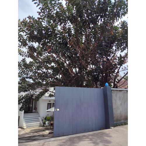 Dinasty Living Villa