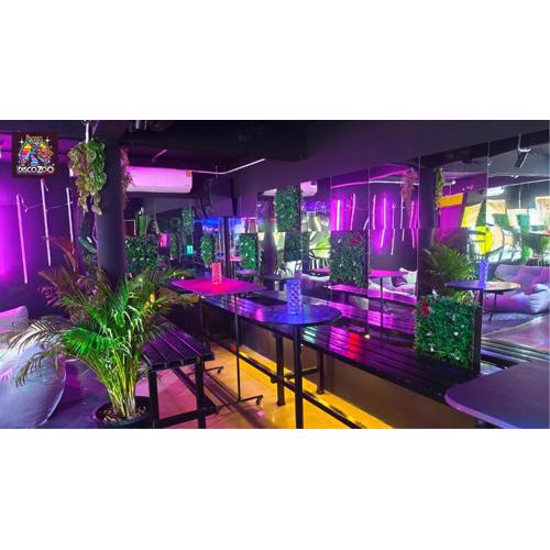 DISCO ZOO Bar & Hostel