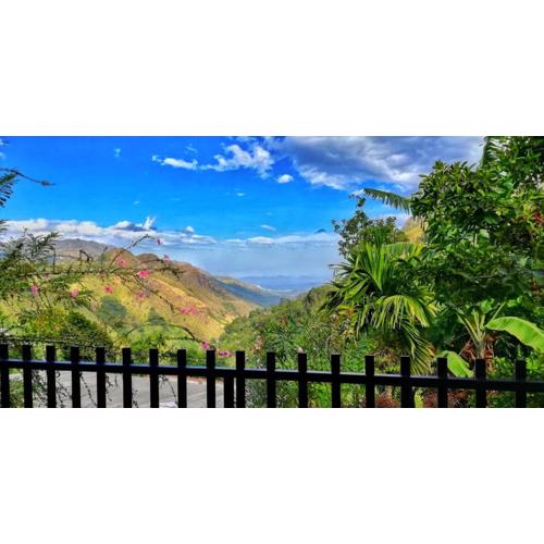 Divine View Homestay
