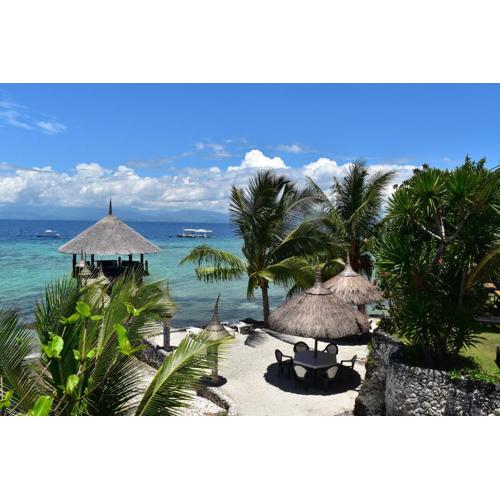 Dolphin House Resort Moalboal