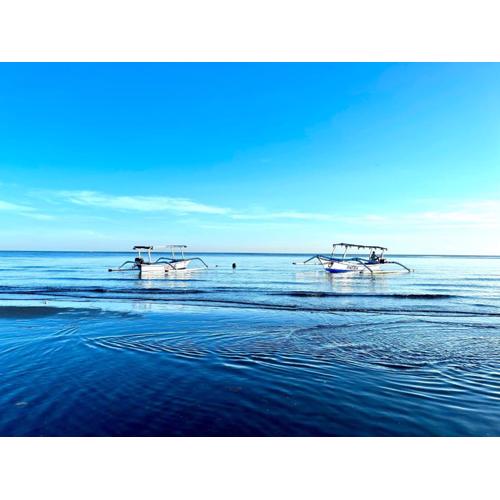 Dolphin Tour Private Villa Packet At Seririt