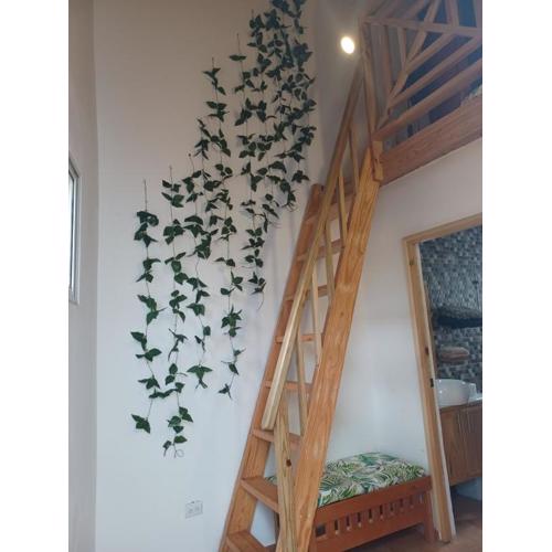 Doña Mayra Aparta Hotel, Rustico