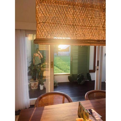 DORALICE by a Paddy Field