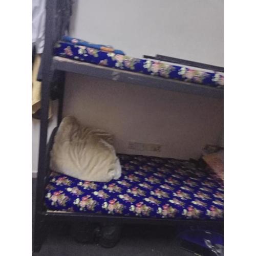 dormitory bed space for male and female