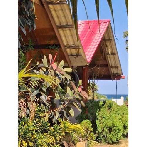 Dot's bey beach cabanas